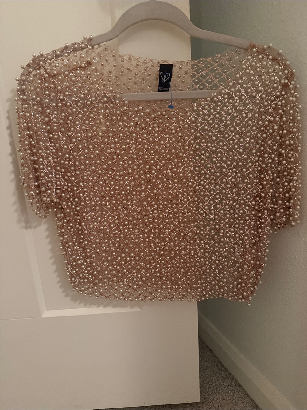 Windsor Pearl-Embellished Sheer Nude Crop Top